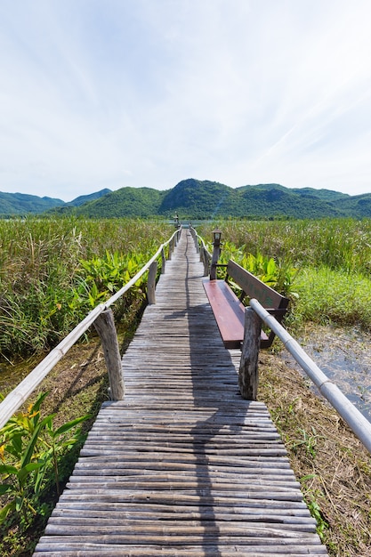 Puente de madera y paisaje