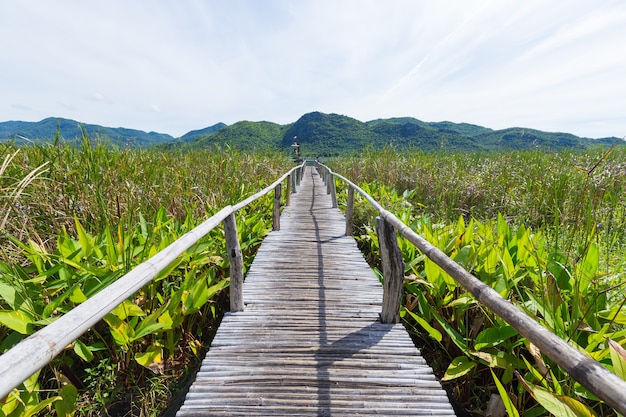 Puente de madera y paisaje