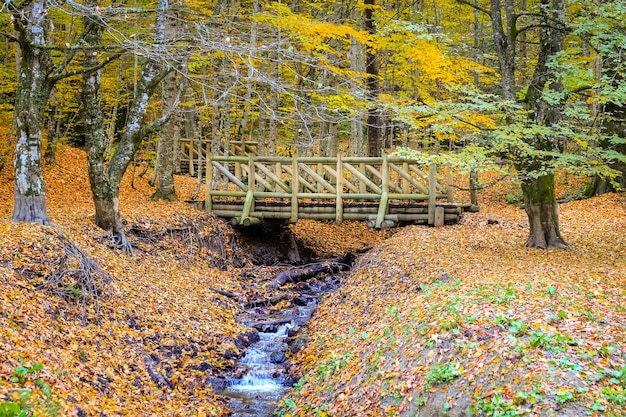 Puente de madera en el Parque Nacional Yedigoller Turquía