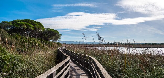 Puente de madera en plena naturaleza