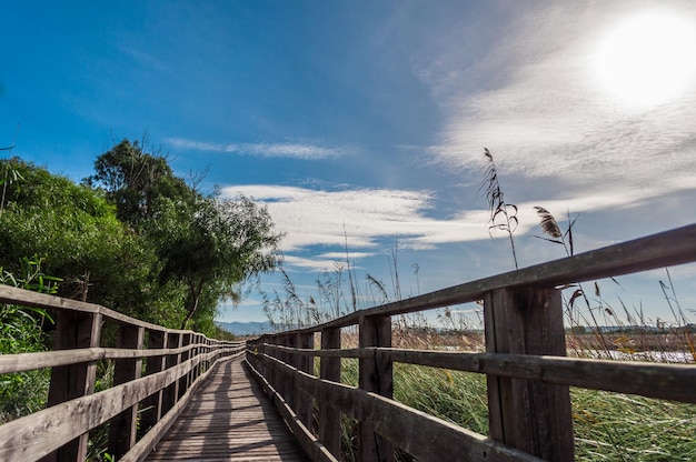 Puente de madera en plena naturaleza