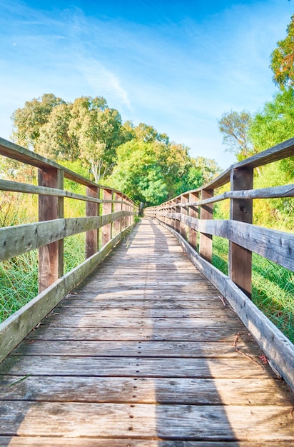 Puente de madera en plena naturaleza