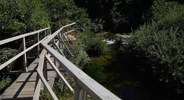 puente de madera roja sobre el río salvaje en la hermosa naturaleza en verano