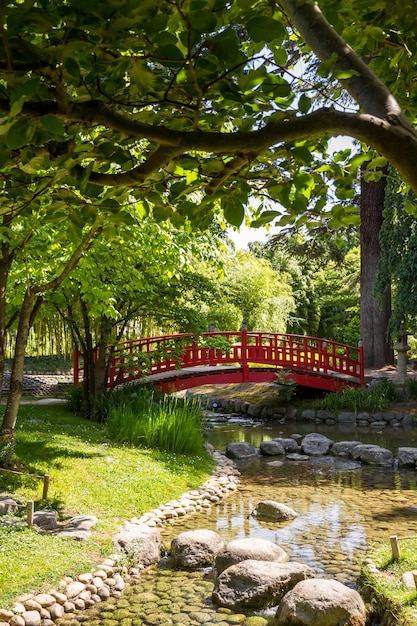 Puente de madera rojo tradicional en un estanque de jardín japonés