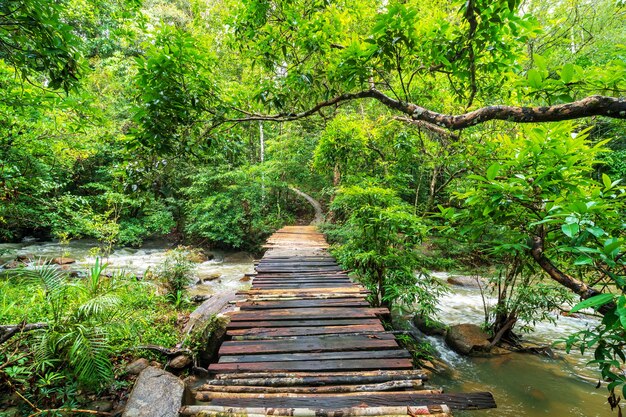 Puente de madera sobre la cascada