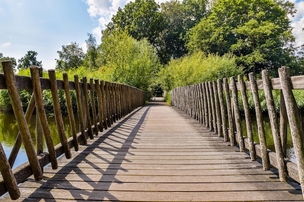 Un puente de madera sobre un cuerpo de agua con árboles