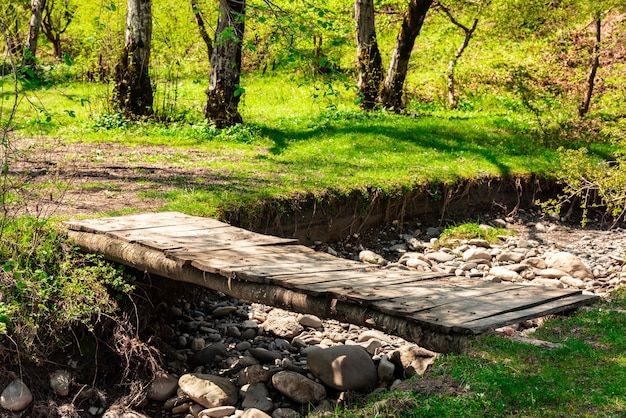 Puente de madera sobre un río del bosque