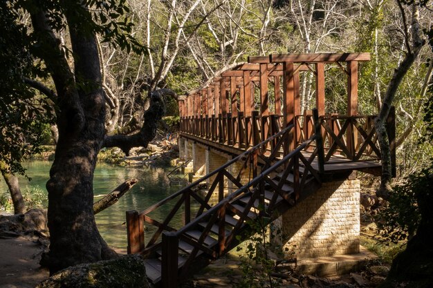 Puente de madera sobre el río en el bosque