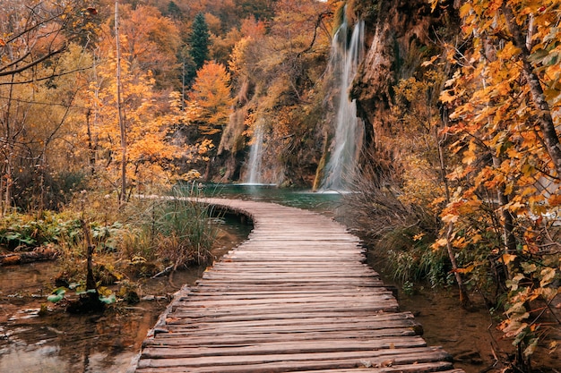 Puente de madera a través del río en temporada de otoño