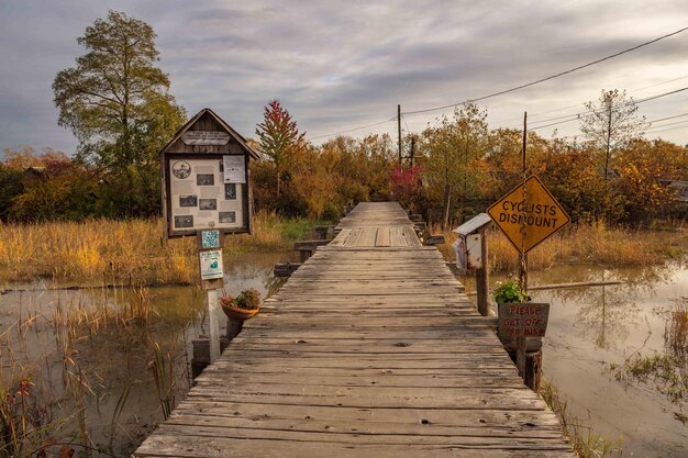 El puente de madera.