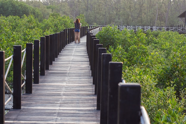 Puente de madera