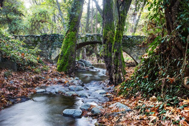 Puente medieval veneciano en Chipre