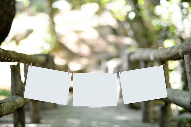 Puente en la naturaleza con cuerda tendida y hojas en blanco.