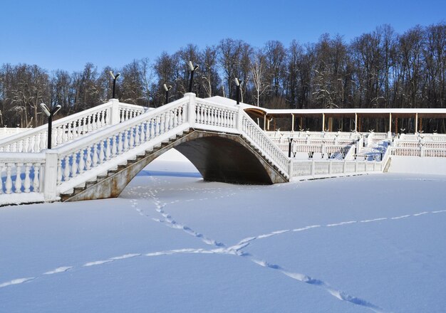Puente nevado