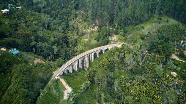 Puente de nueve arcos con ferrocarril en Sri Lanka