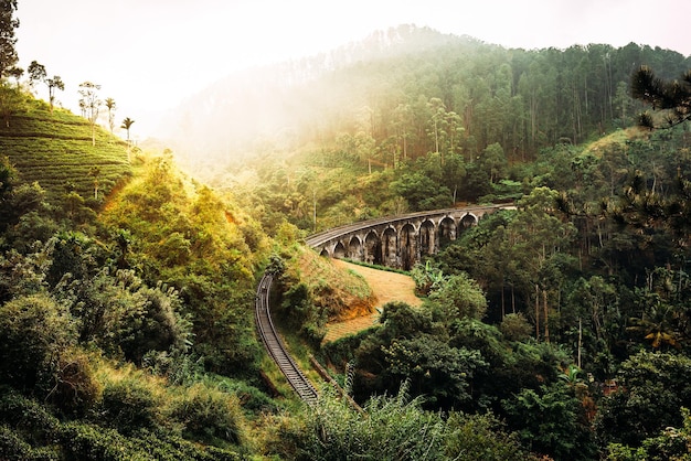 Puente de nueve arcos en Sri Lanka. Hermoso puente ferroviario en Asia. Naturaleza de Sri Lanka. Plantaciones de té en Asia. Arquitectura colonial