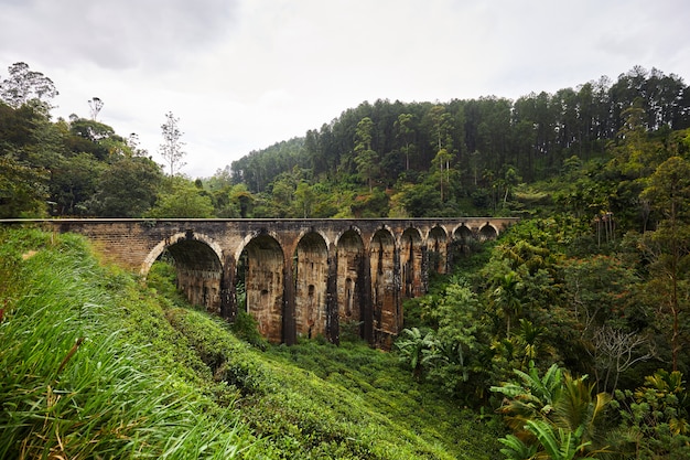 Puente de los Nueve Arcos, Sri Lanka, el viejo puente en los trópicos