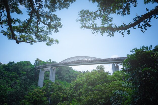 Puente de la onda de Henderson en fondo del cielo azul en el d3ia en Singapur.