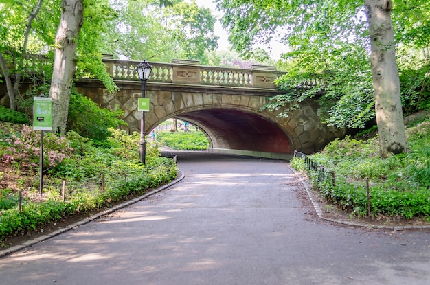 Puente panorámico en Central Park en un día soleado de Manhattan, Nueva York, EE.UU.