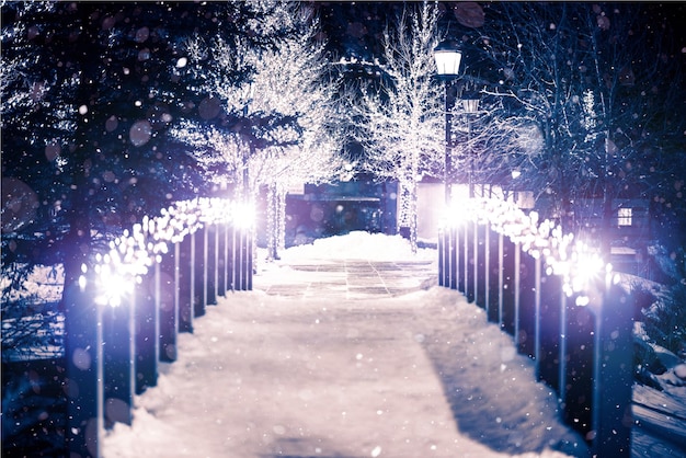 El puente del parque en invierno