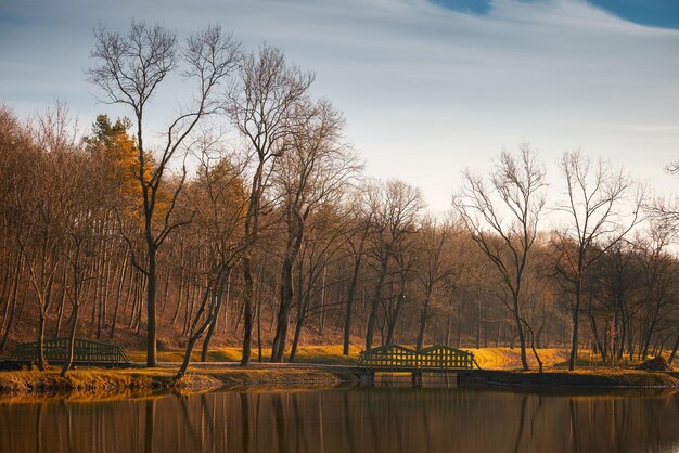 Puente en el parque de otoño del lago