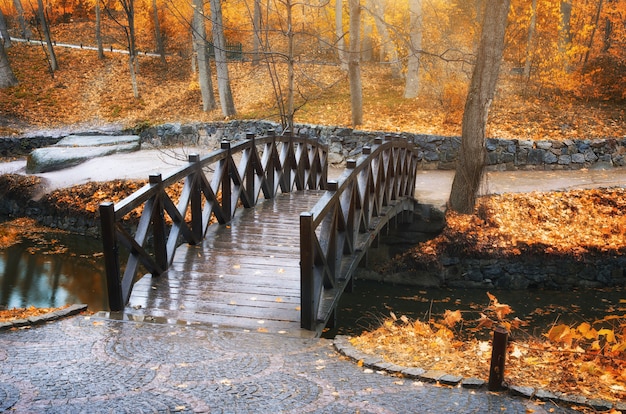 Puente en el parque otoño