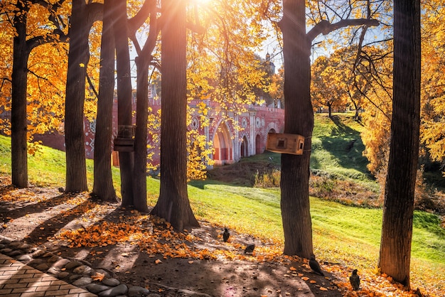 Puente en el parque Tsaritsyno en Moscú en un día de otoño