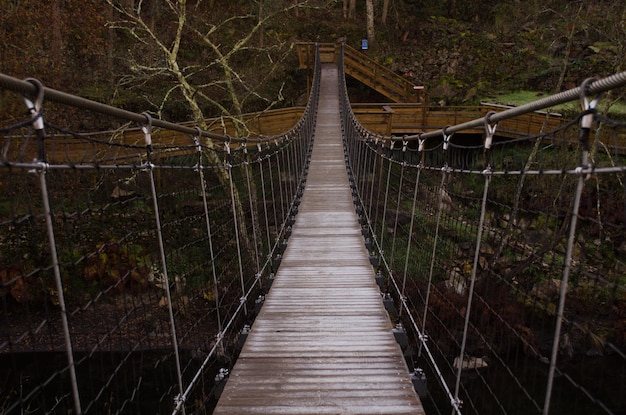 Foto puente peatonal en el bosque