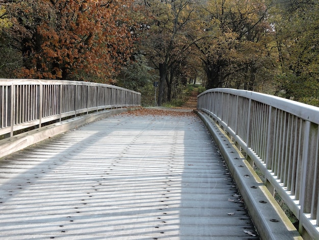 Foto puente peatonal contra los árboles