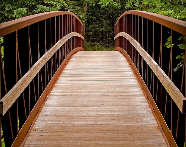 Foto puente peatonal contra los árboles