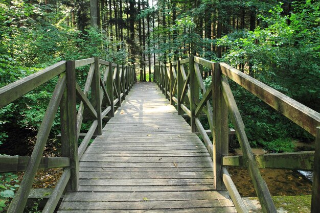 Puente peatonal de madera en el bosque