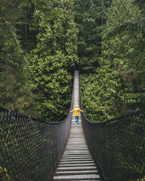 Foto puente peatonal en medio de árboles en el bosque