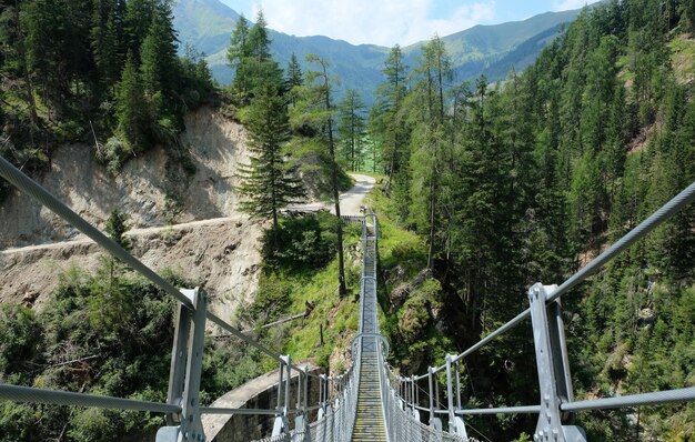 Puente peatonal en medio de árboles en el bosque