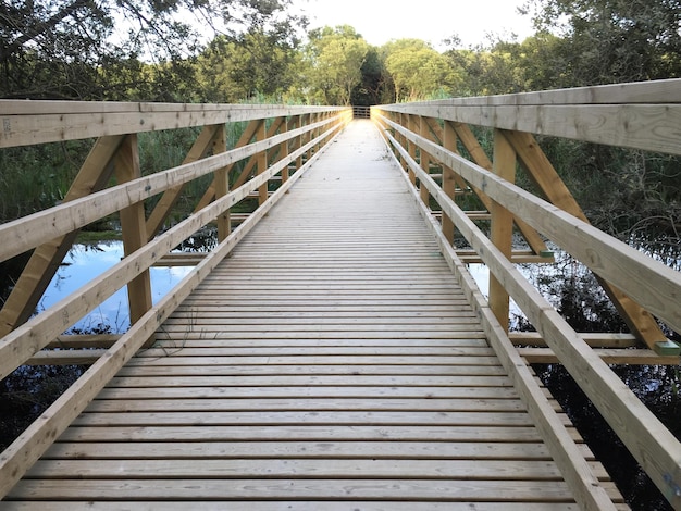 Foto puente peatonal en medio de los árboles contra el cielo