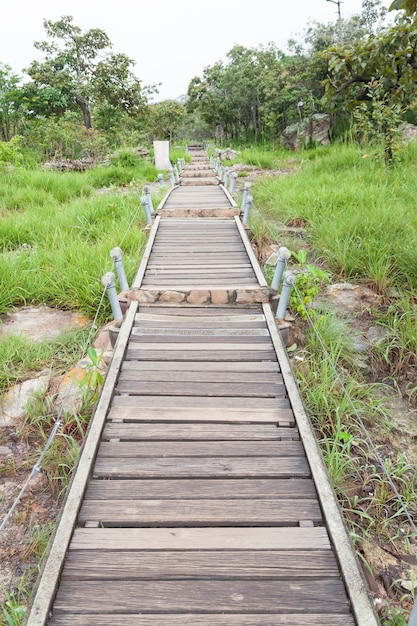 Puente peatonal a la montaña