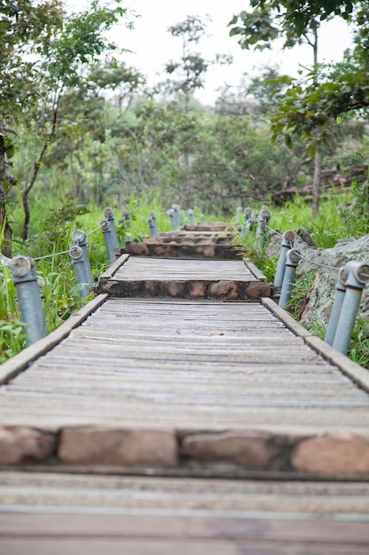 Puente peatonal a la montaña