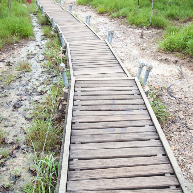 Puente peatonal a la montaña