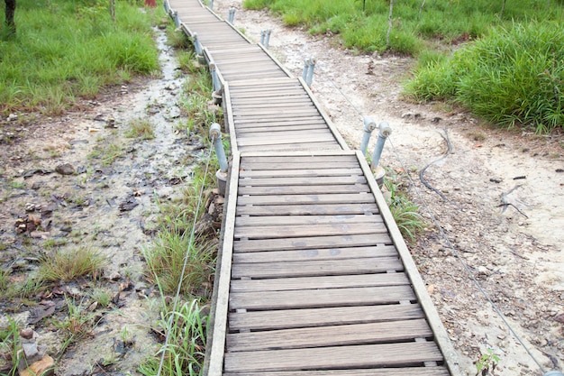 Puente peatonal a la montaña