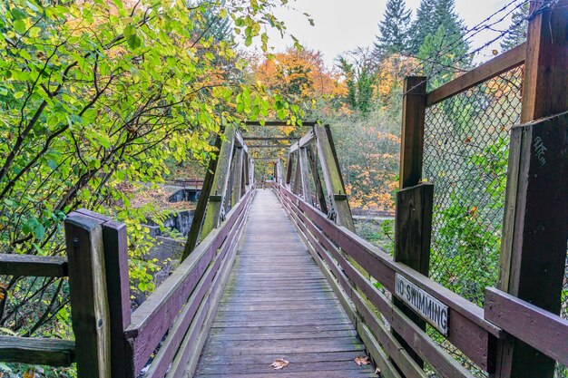Foto un puente peatonal en el parque tumwater falls en el estado de washington