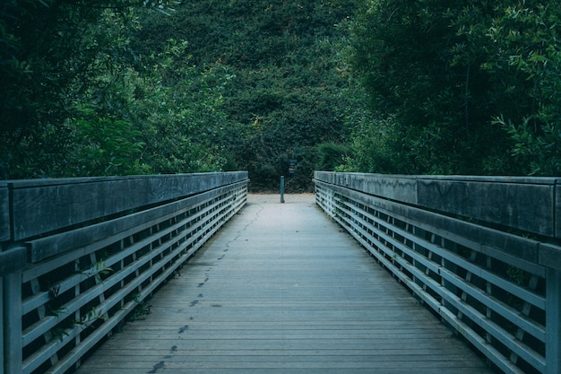 Puente peatonal que conduce hacia el bosque