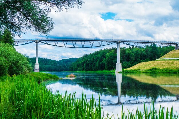 Foto puente peatonal de rosas blancas sobre el río nemunas - baltosios rozes tiltas