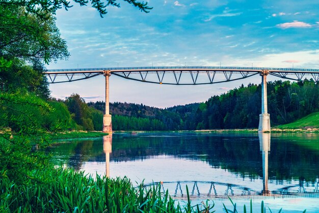 Foto puente peatonal de rosas blancas sobre el río nemunas - baltosios rozes tiltas