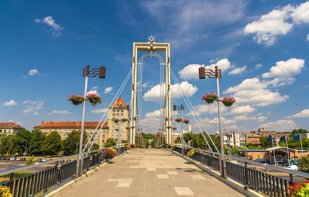 Puente peatonal sobre el río Nemunas en Kaunas, Lituania