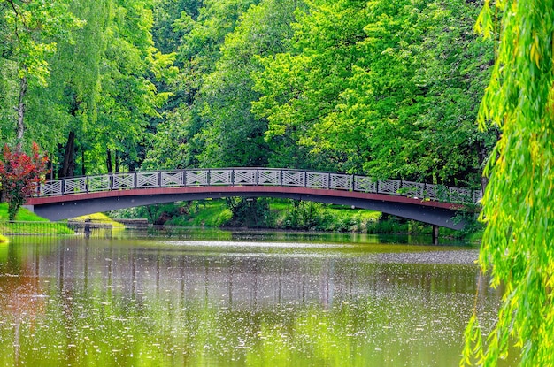 Puente peatonal sobre el río en el parque Paisaje tranquilo e inspirador del parque Zona de estar verde