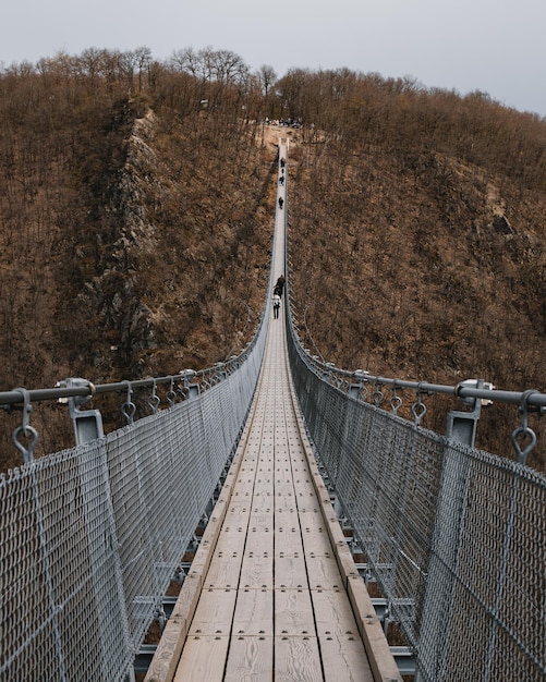 Puente peatonal sobre tierra