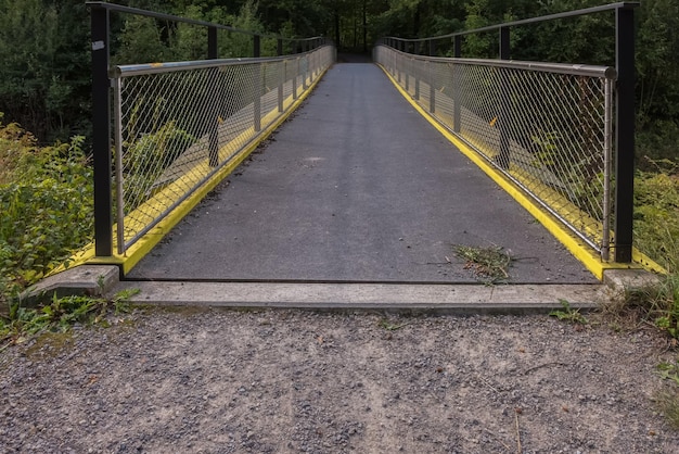 Foto puente peatonal vacío en el bosque