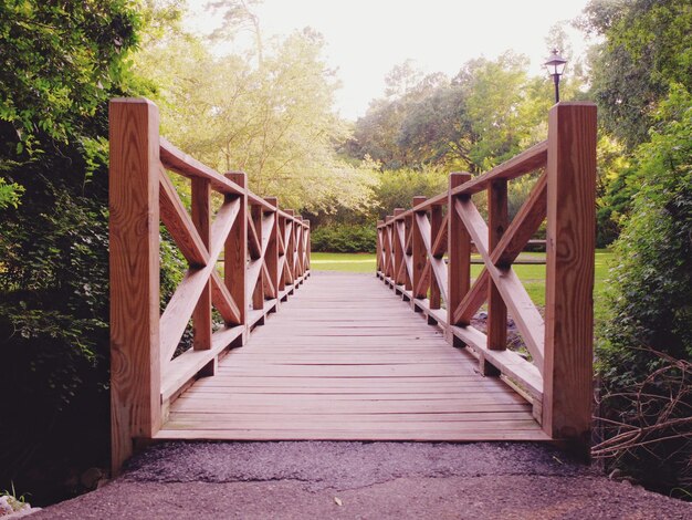 Foto puente peatonal vacío a lo largo de los árboles en el bosque