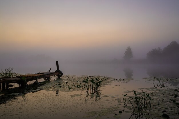 Puente de pesca para barco y lirio con capullos amarillos temprano en la mañana con una espesa niebla en el río