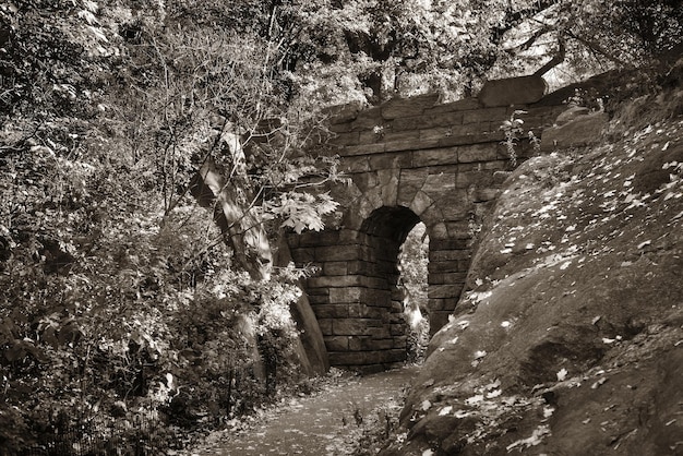 Puente de piedra en Central Park en Woods, Midtown Manhattan de Nueva York