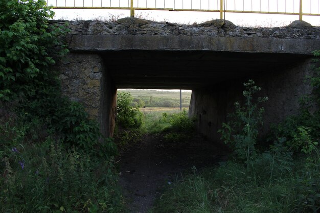 Un puente de piedra con valla y césped.